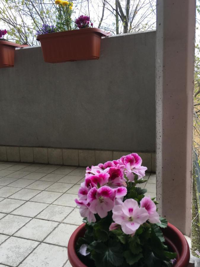 Appartamento Con Due Camere Da Letto E Free Park Verona Dış mekan fotoğraf